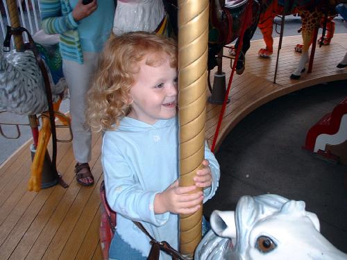 merry go round- savannah.jpg 34.8K